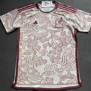 Mexico 2022 away Jersey